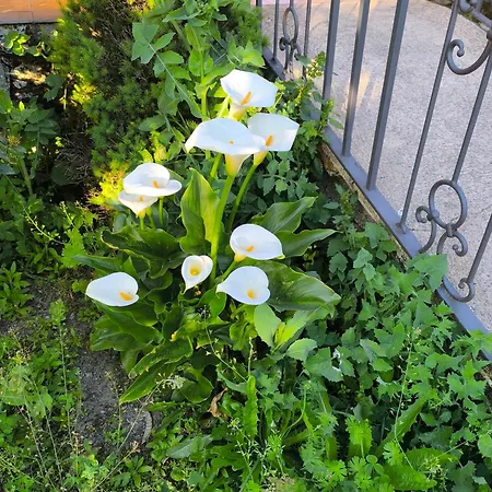 Casa rural Miraduero Aldeadávila de la Ribera