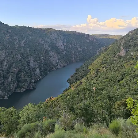 Miraduero *